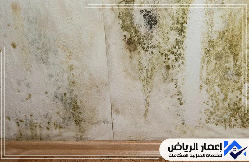 أفضل مادة عازلة للرطوبة في الجدران